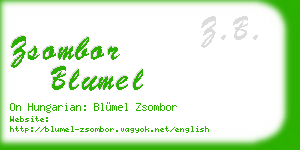 zsombor blumel business card