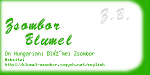 zsombor blumel business card